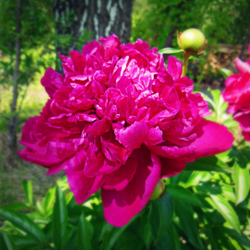 Елена Кузьмичёва | Набережные Челны