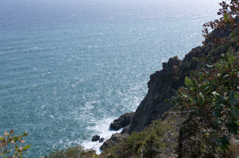 Антон Судников | Новосибирск