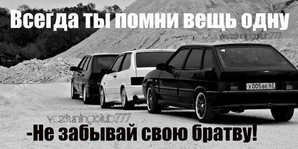 Дмитрий Жук | Гатчина