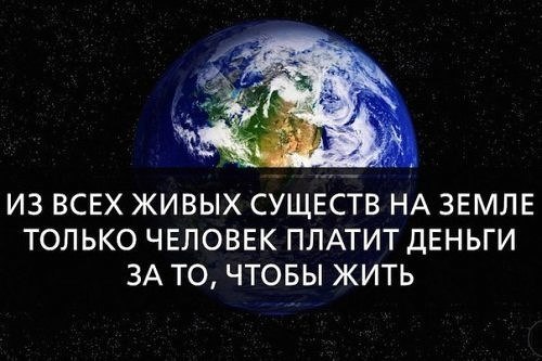 Лев Александрович | Санкт-Петербург