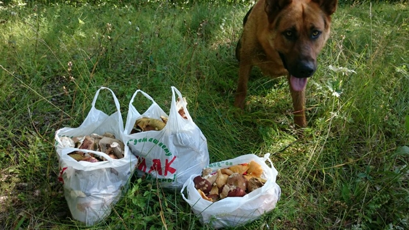 Денис Артемьев | Чебоксары