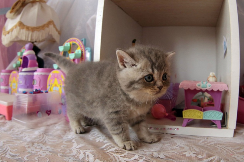 Сергей Комраков Yurich | Москва