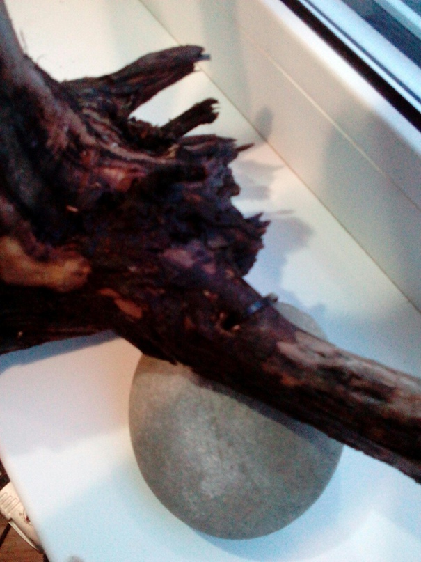 Надежда Севастьянова | Екатеринбург