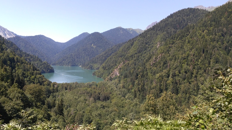 Лариса Полевая | Миренки