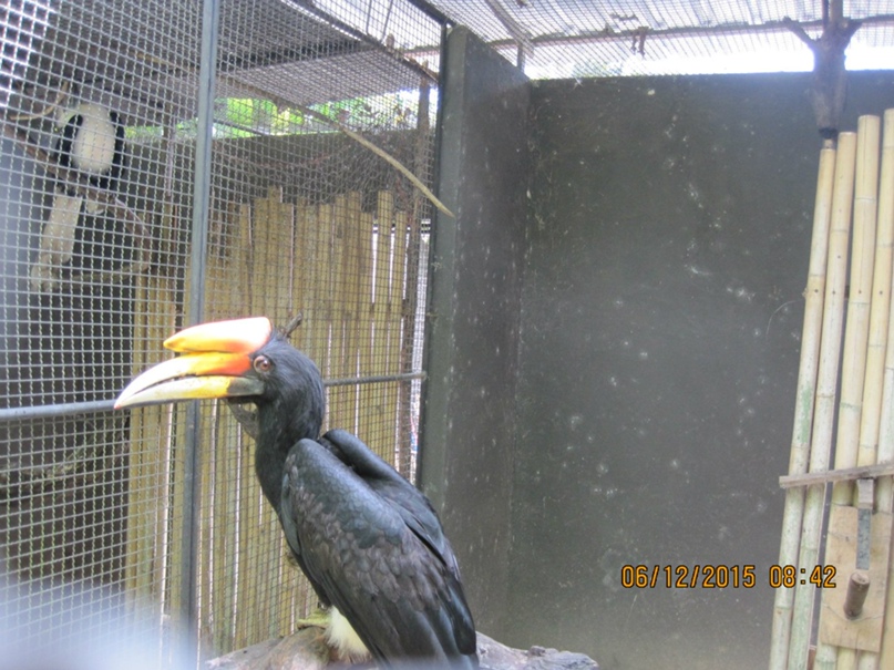 Маша Гусева | Санкт-Петербург