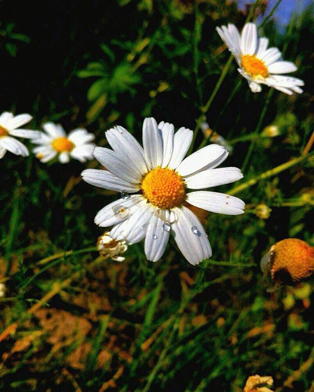 Татьяна Постникова | Санкт-Петербург