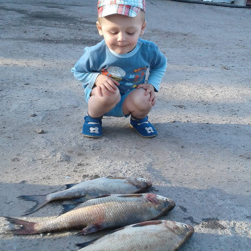 Александр Коростелев | Александрия