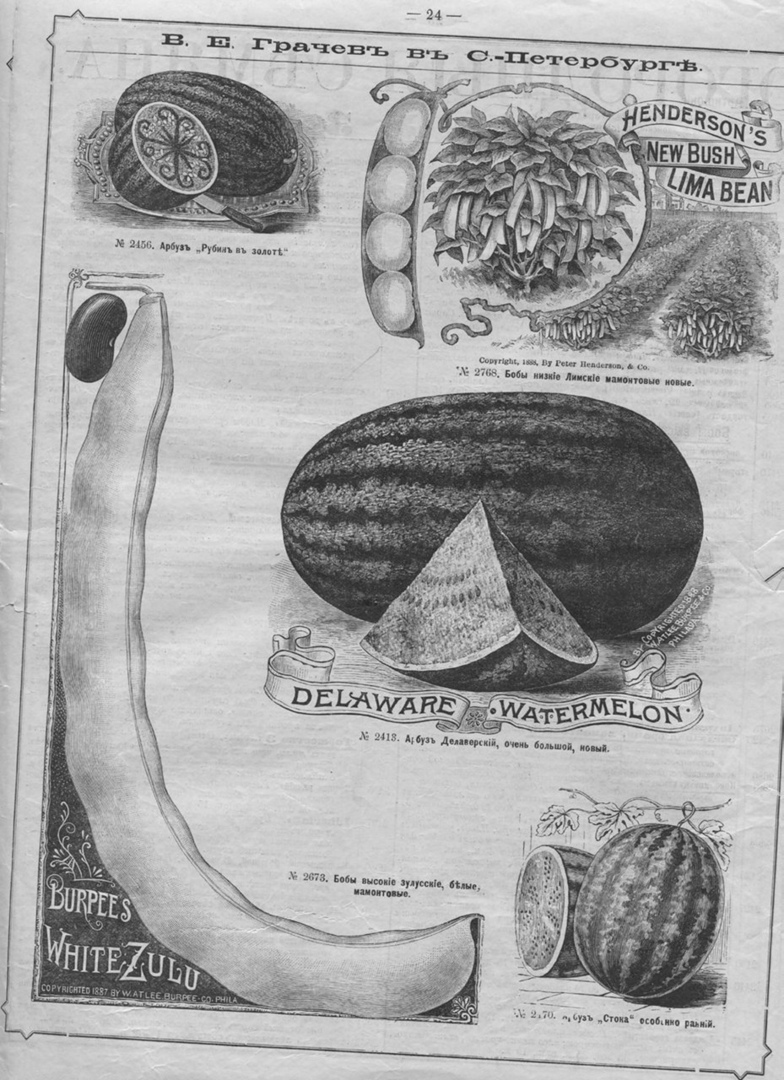 Сергей Паршин | Каракулино