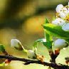 Танюшка Кутузова | Киев