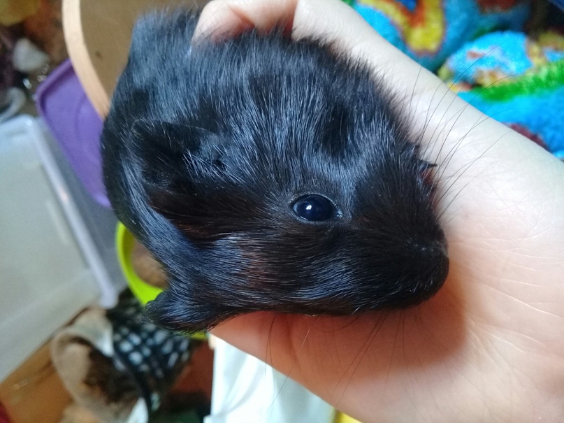 Мария Антошина | Саранск