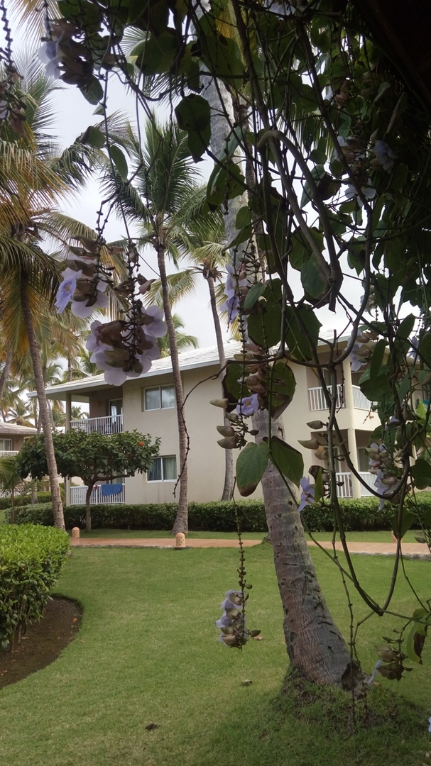 Наталья Матюшина | Москва