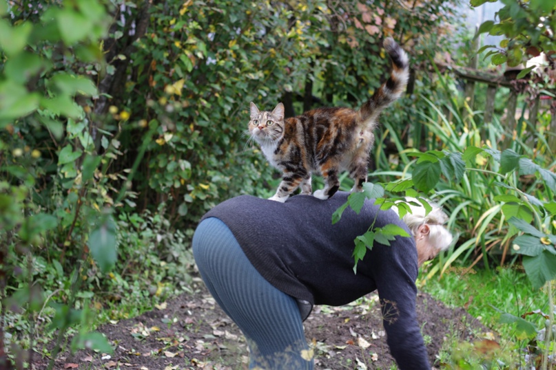 Алёна Акрошка Аушовна | Санкт-Петербург
