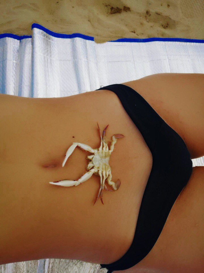 Анна Борзило | Харьков