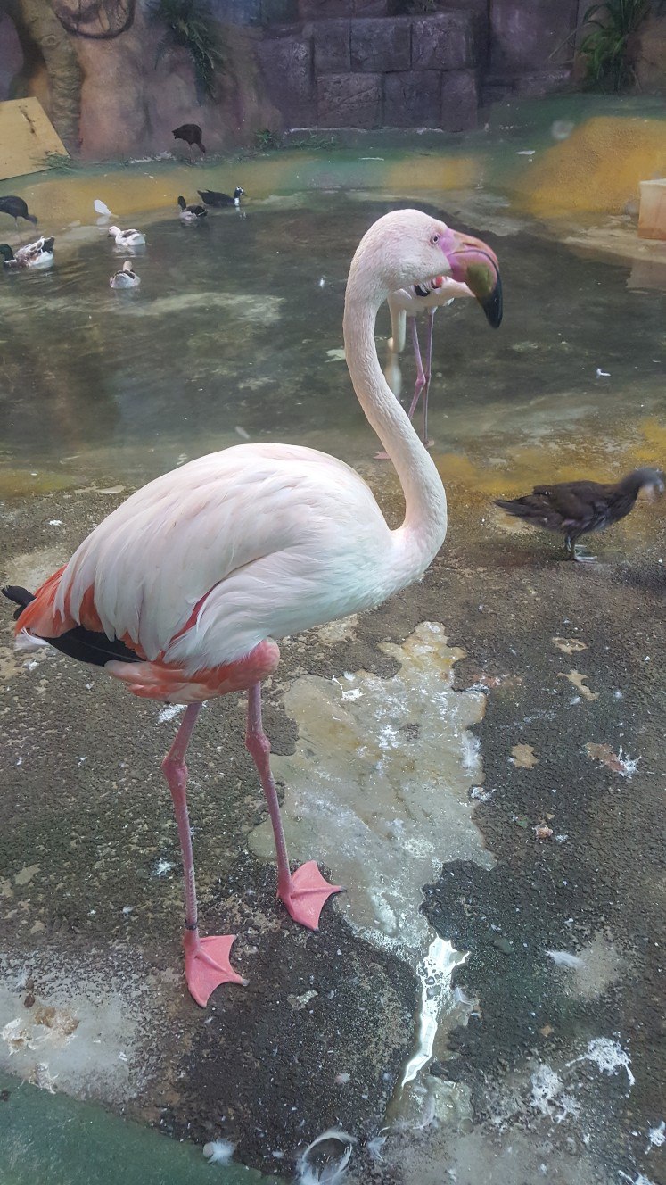 Александра Новохацкая | Сергиев Посад