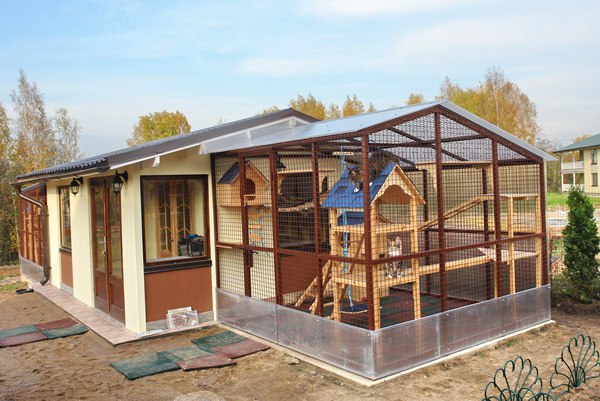 Вольер на даче своими руками Вольер на даче своими руками