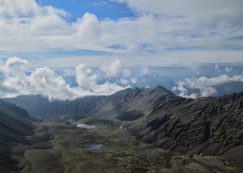 Михаил Шубин | Краснодар