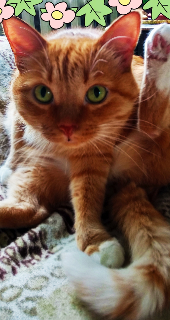 Ольга Мартынюк | Березники