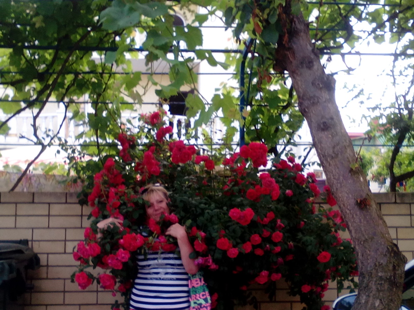 Елена Трапезникова | Мурманск