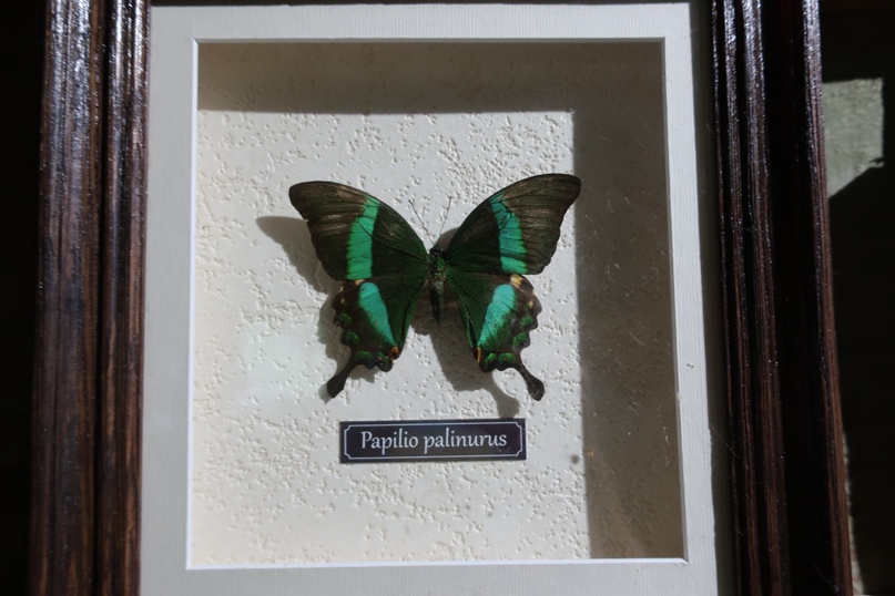 Анна Семёнова Брониславовна | Чебоксары