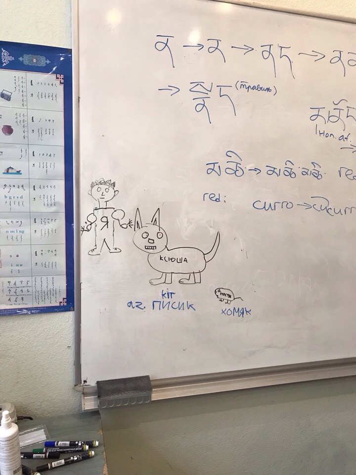 Ксения Михеева | Санкт-Петербург