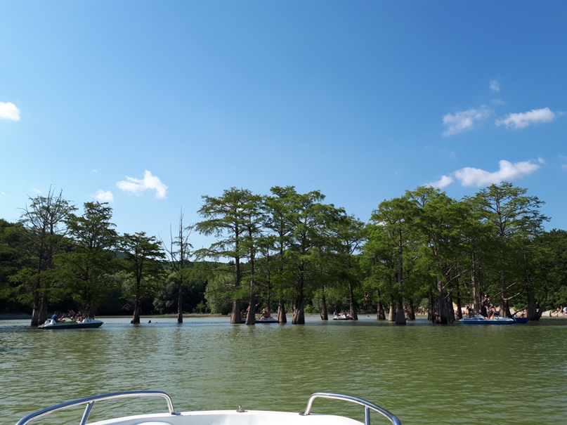 Елена Губина | Саратов