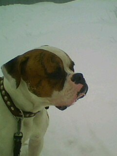 Александр Кукушкин | Рыбинск