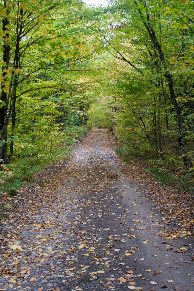 Иван Юрченко | Краснодар