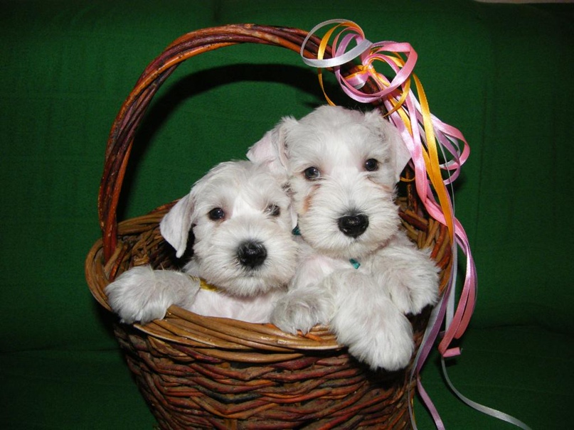 Сергей Русанов | Мантурово