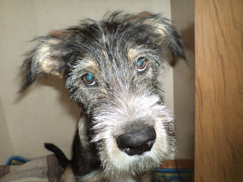 Кирилл Горбушин | Красноярск