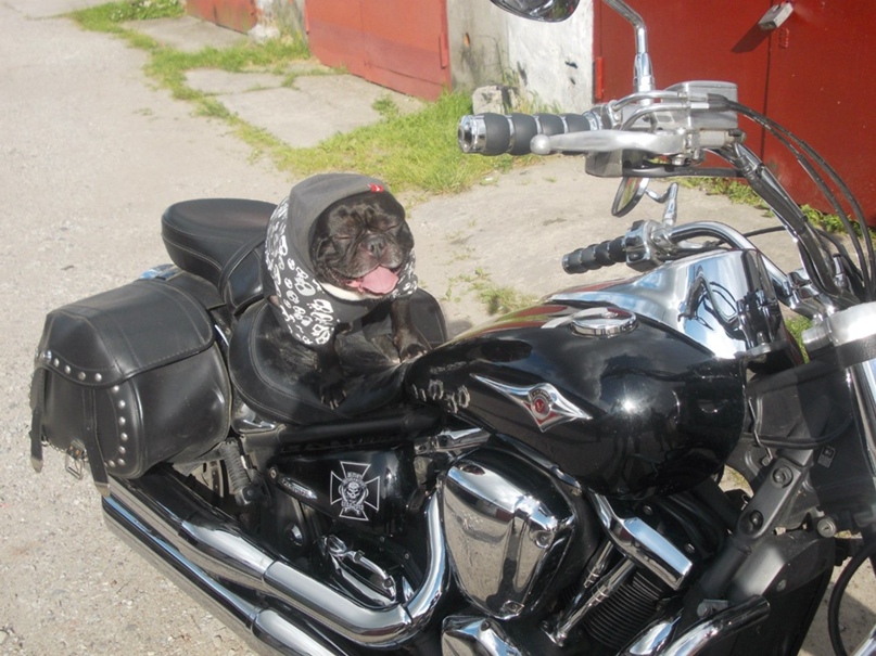 Виталий Матвеев | Калининград