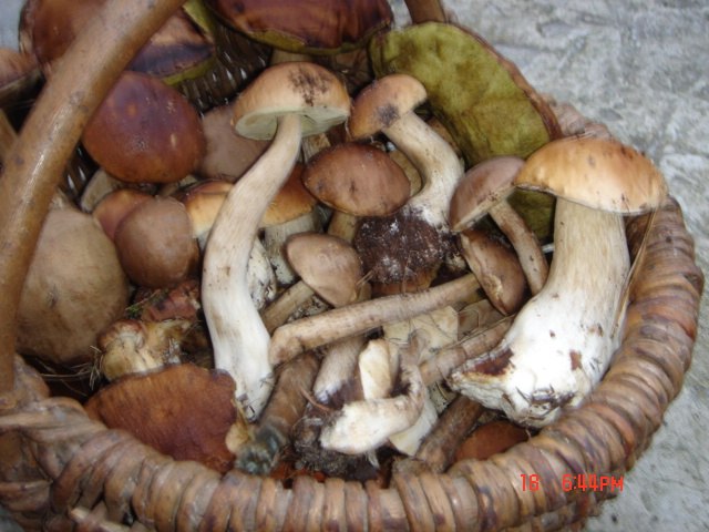 Павел Страхов | Москва