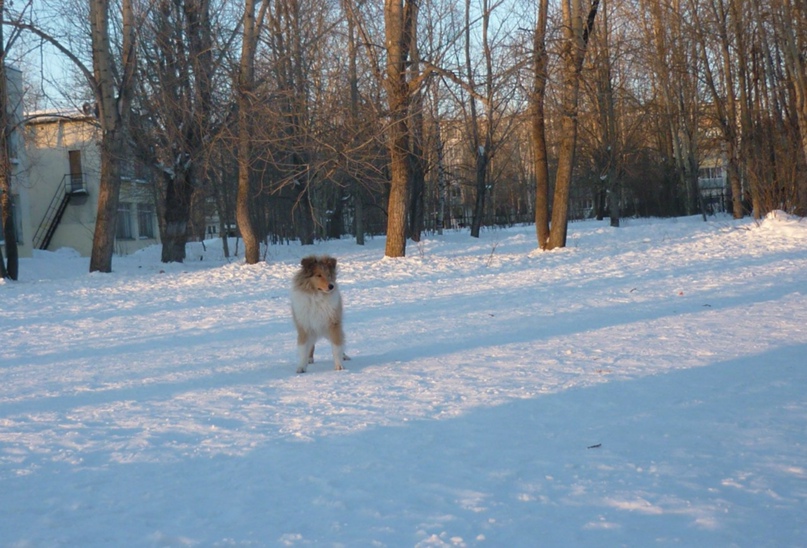 Елена Наумова | Северодвинск