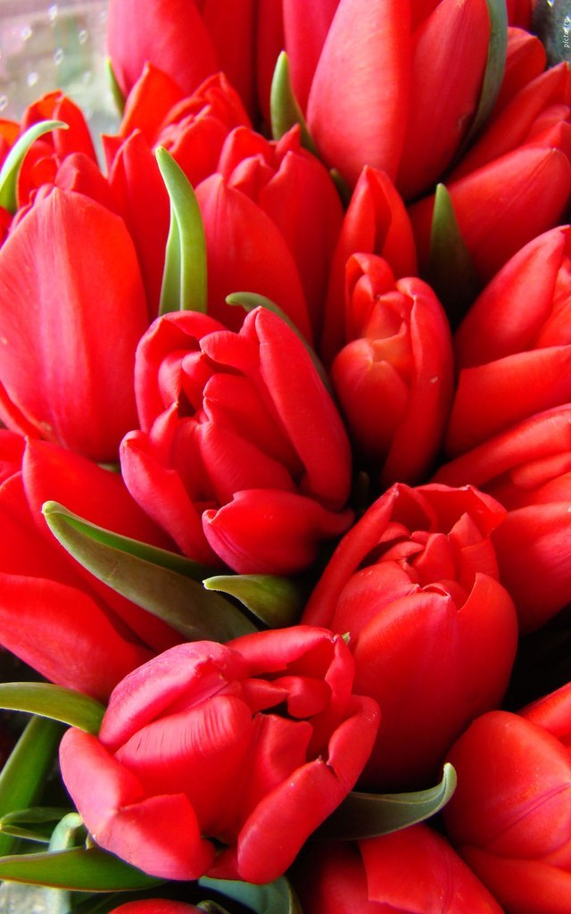 Наталья Шитова | Уфа