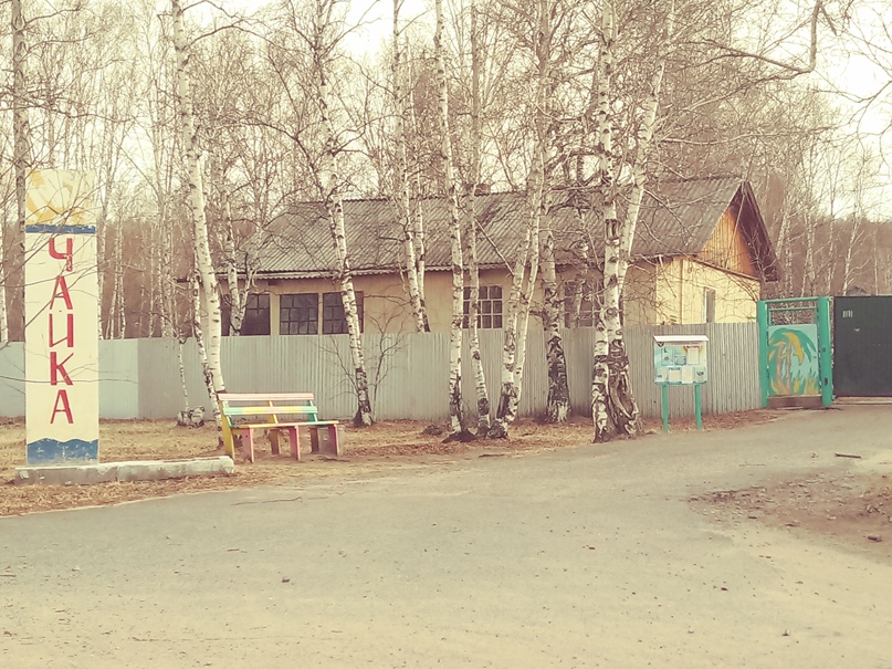 Ксения Патрушева | Чита