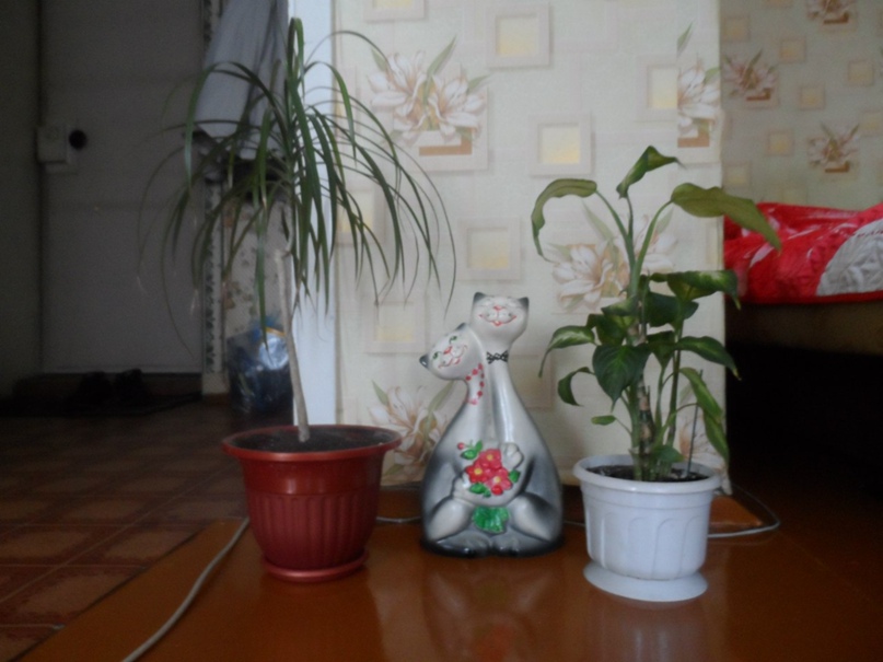 Дмитрий Бутузов | Осинники