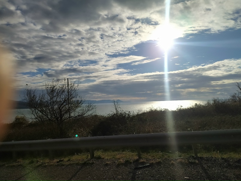 Екатерина Корнеева | Воронеж