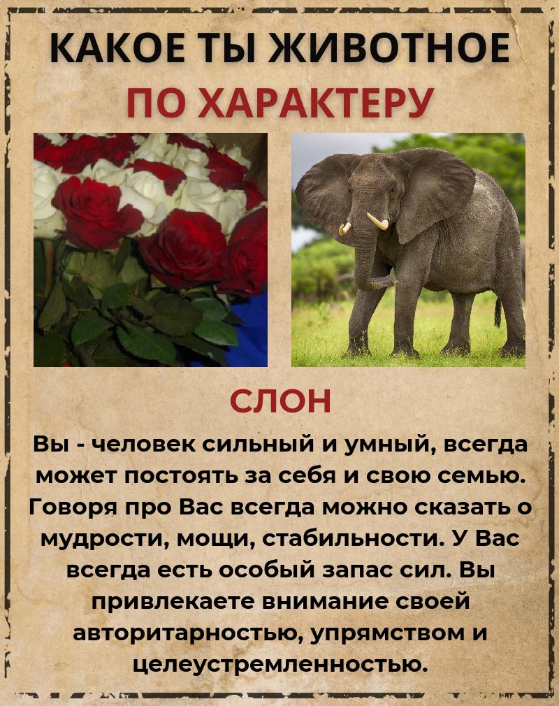 Олеся Овсянникова | Орёл