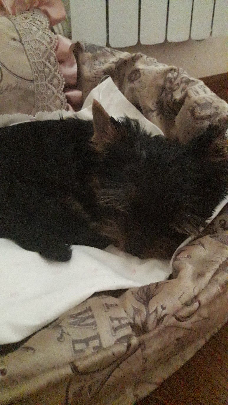 Ирина Щёкотова | Новочебоксарск