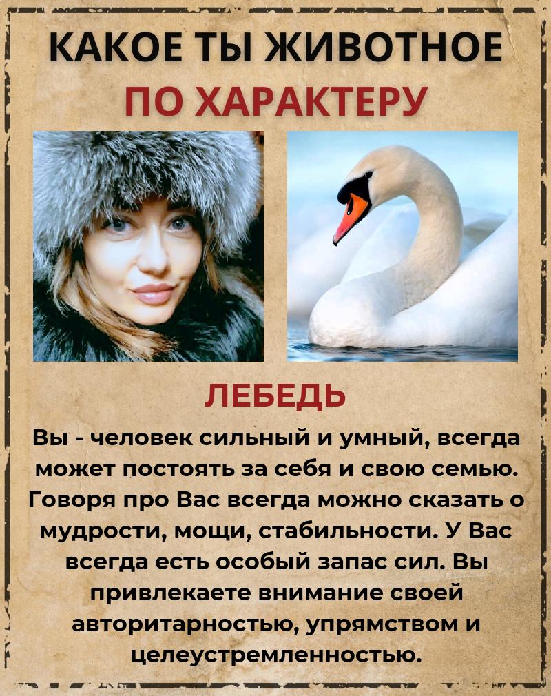 Наталия Стрельцова |
