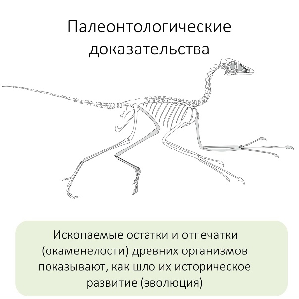 Доказательство группы