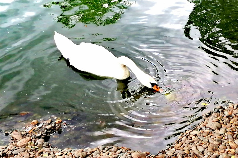 Иван Корчагин | Искра (поселок)