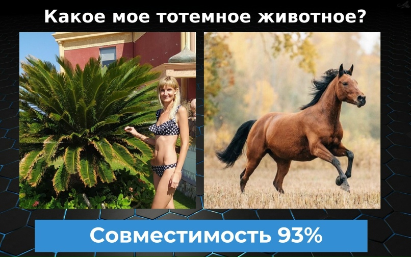 Анна Петроченко | Могилёв