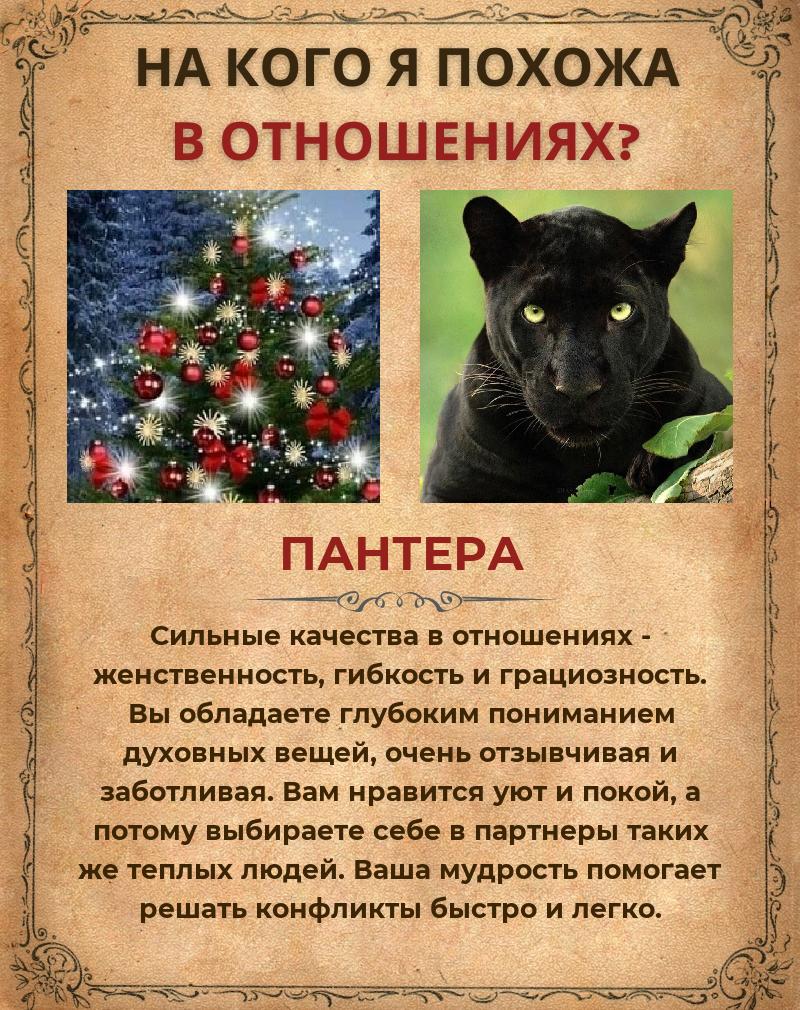 Людмила Цветкова | Иваново