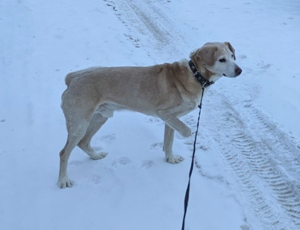 Админу спасибо и добра!?Переславль, репост,...
