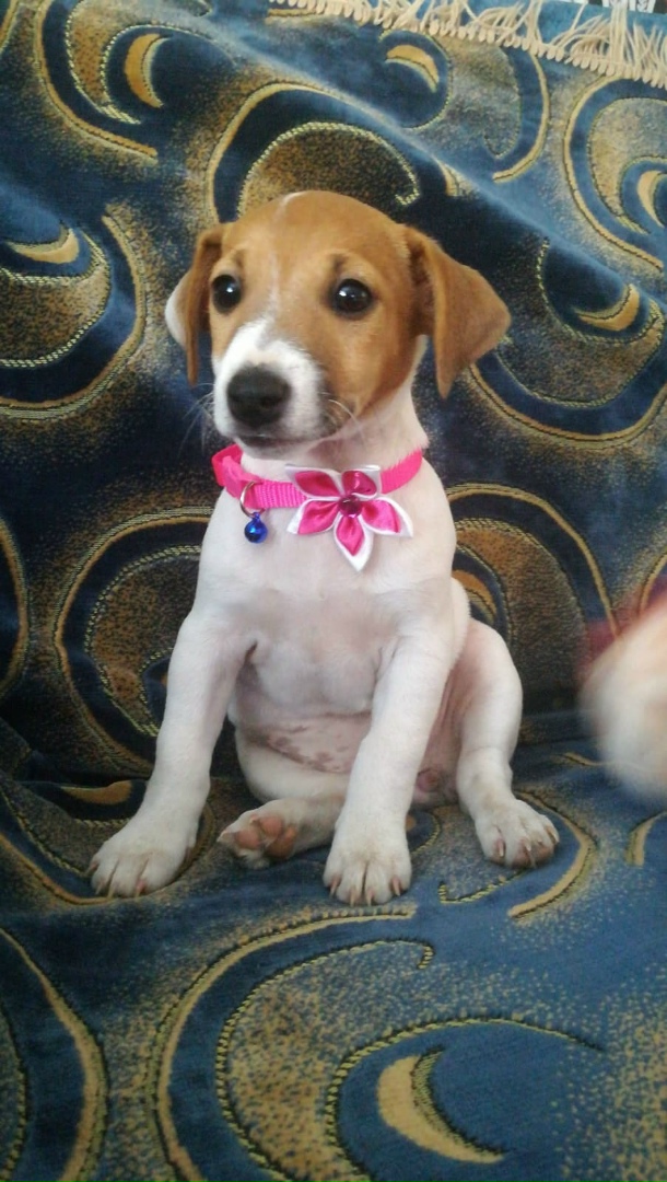 Лена Курочкина | Витебск