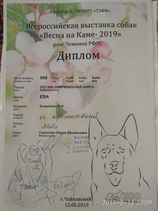 Лариса Коваленко | Чайковский