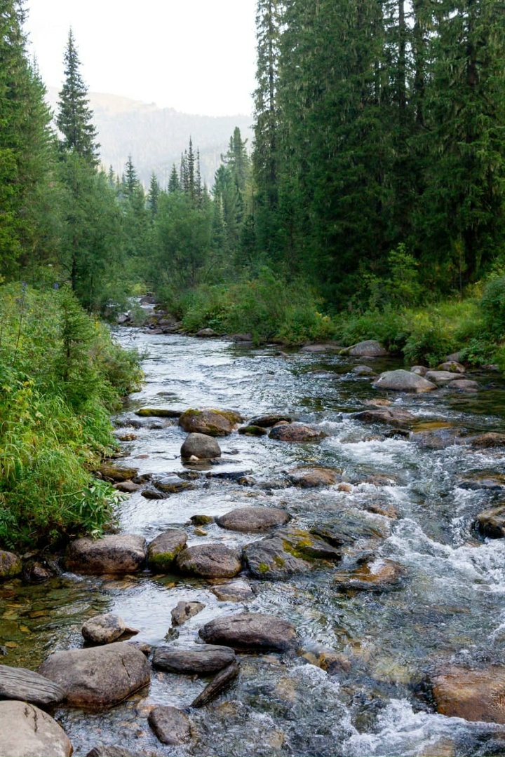 Вячеслав Матвеев | Красноярск
