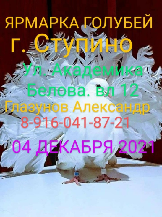 Аня Шатайло - (37) фото, 23 года, Савранское, профиль в ВК