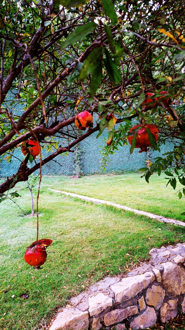 Павел Васильев | Барнаул