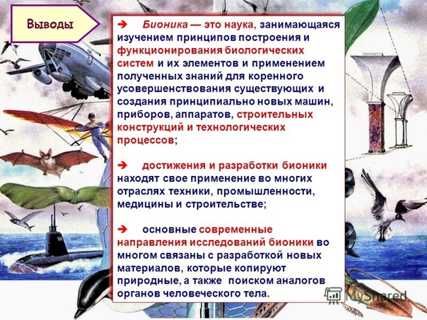 ОС-17_Биология(Преподаватель Ревенко О.П.): записи сообщества ВКонтакте
